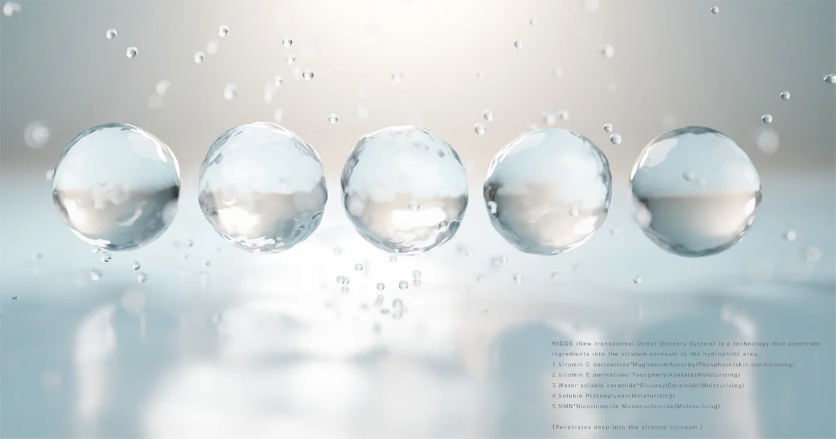 B.TRIBE・D+TRAD | POP UP SHOP 12/3-9開催 新潟伊勢丹５階 画像 2