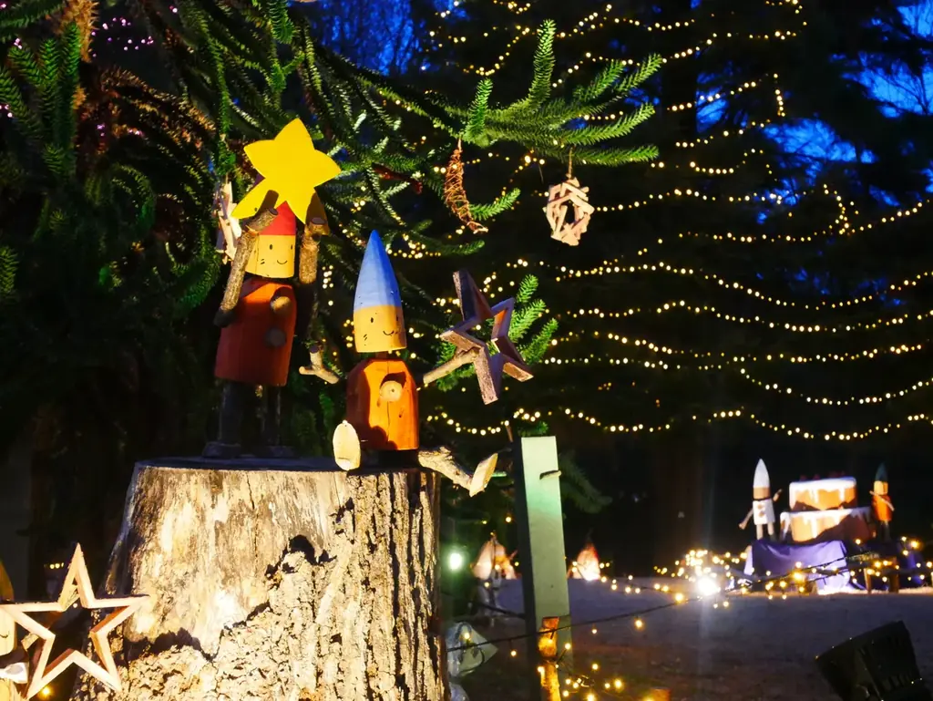 12/13開幕　森林公園で55万球のスターライトイルミネーション