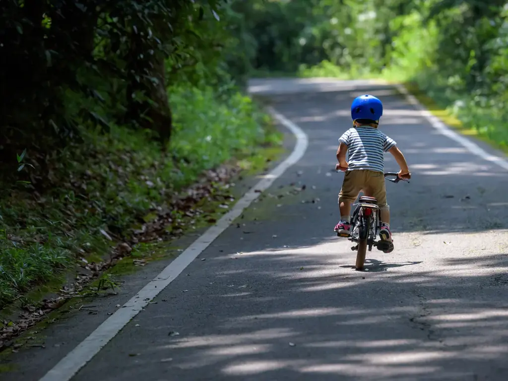 『スターライトイルミネーション』まもなく開催（国営武蔵丘陵森林公園） 画像 10
