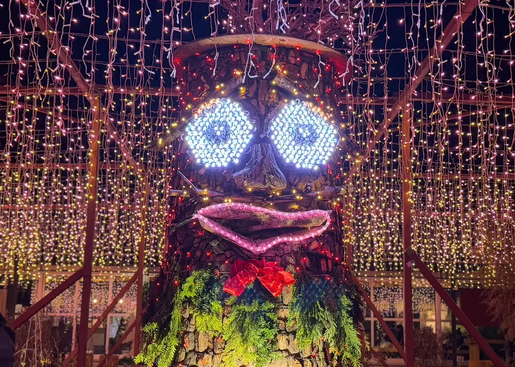 『スターライトイルミネーション』まもなく開催（国営武蔵丘陵森林公園） 画像 4