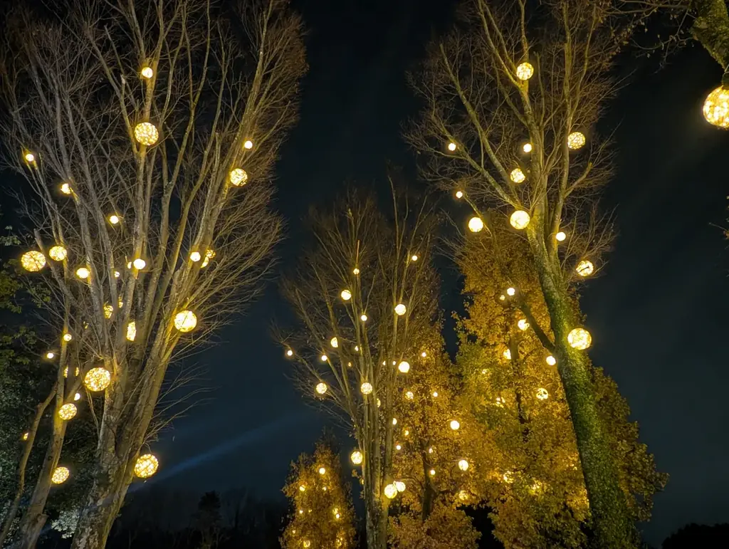 『スターライトイルミネーション』まもなく開催（国営武蔵丘陵森林公園） 画像 6