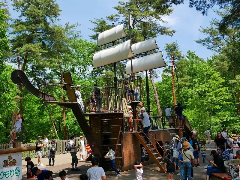 『スターライトイルミネーション』まもなく開催（国営武蔵丘陵森林公園） 画像 9