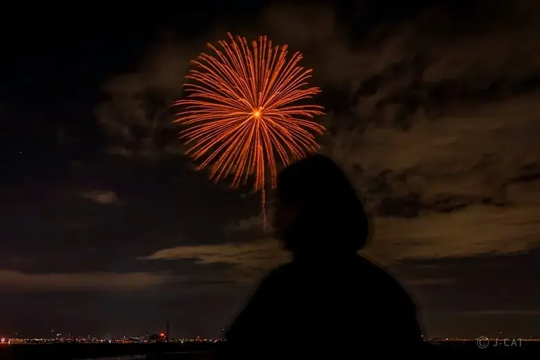 大人の自由研究福袋