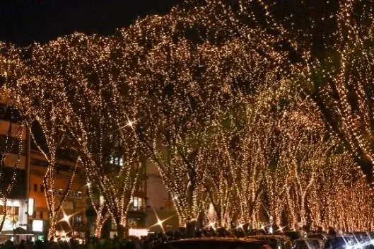 特別番組「khb開局５０周年 全部見せます！仙台クリスマスマーケット２０２５」を放送します 画像 5