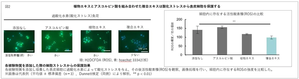 三生医薬・ポーラ、第48回日本分子生物学会年会で共同研究成果を発表 画像 4