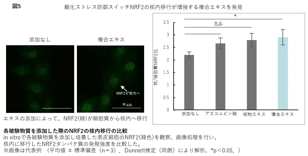 三生医薬・ポーラ、第48回日本分子生物学会年会で共同研究成果を発表 画像 6