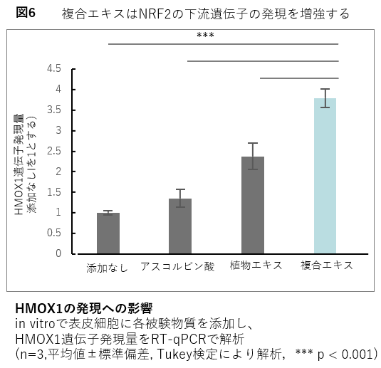 三生医薬・ポーラ、第48回日本分子生物学会年会で共同研究成果を発表 画像 7
