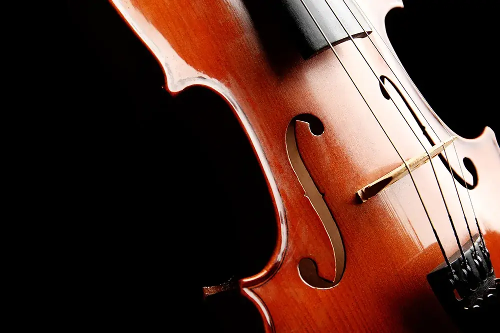 この冬はホテルグランヴィア和歌山で 音色とぬくもりが響くホテルクリスマス　～クリスマスミニ演奏会、あしながサンタ募金、その他クリスマス企画が勢ぞろい～ 画像 2