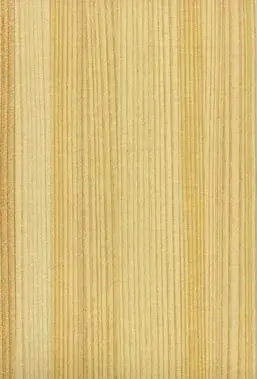 子育てと木づかいをつなぐ暮らしのSDGsイベント「学びの森のママまつり in とくしま」12月13日（土）ゆめタウン徳島で初開催 画像 3