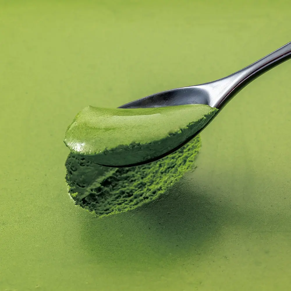 【ご好評につき、200個限定で追加製造決定】日本で唯一無二の“濃厚な5種類の抹茶”を堪能する、衹園辻利のクリスマスケーキ「抹茶ショコラノエルプレミアム」 画像 6