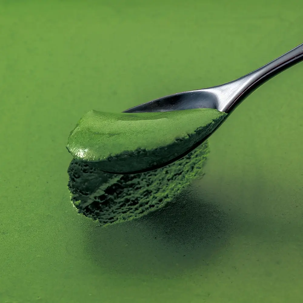 【ご好評につき、200個限定で追加製造決定】日本で唯一無二の“濃厚な5種類の抹茶”を堪能する、衹園辻利のクリスマスケーキ「抹茶ショコラノエルプレミアム」 画像 7