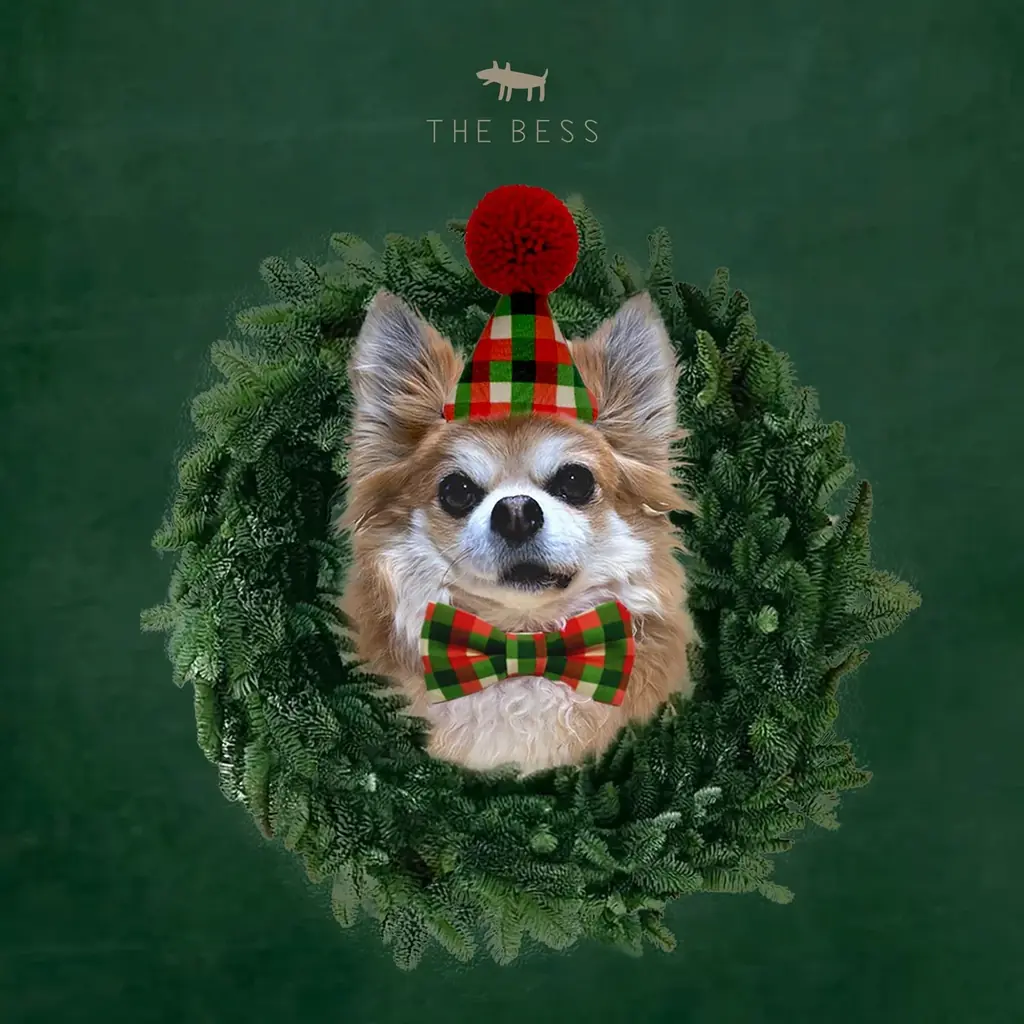 【柏の葉T-SITE】愛犬と1日楽しめる屋外イベント「ワンOneday」を12/13(土)、14(日)に開催 画像 2