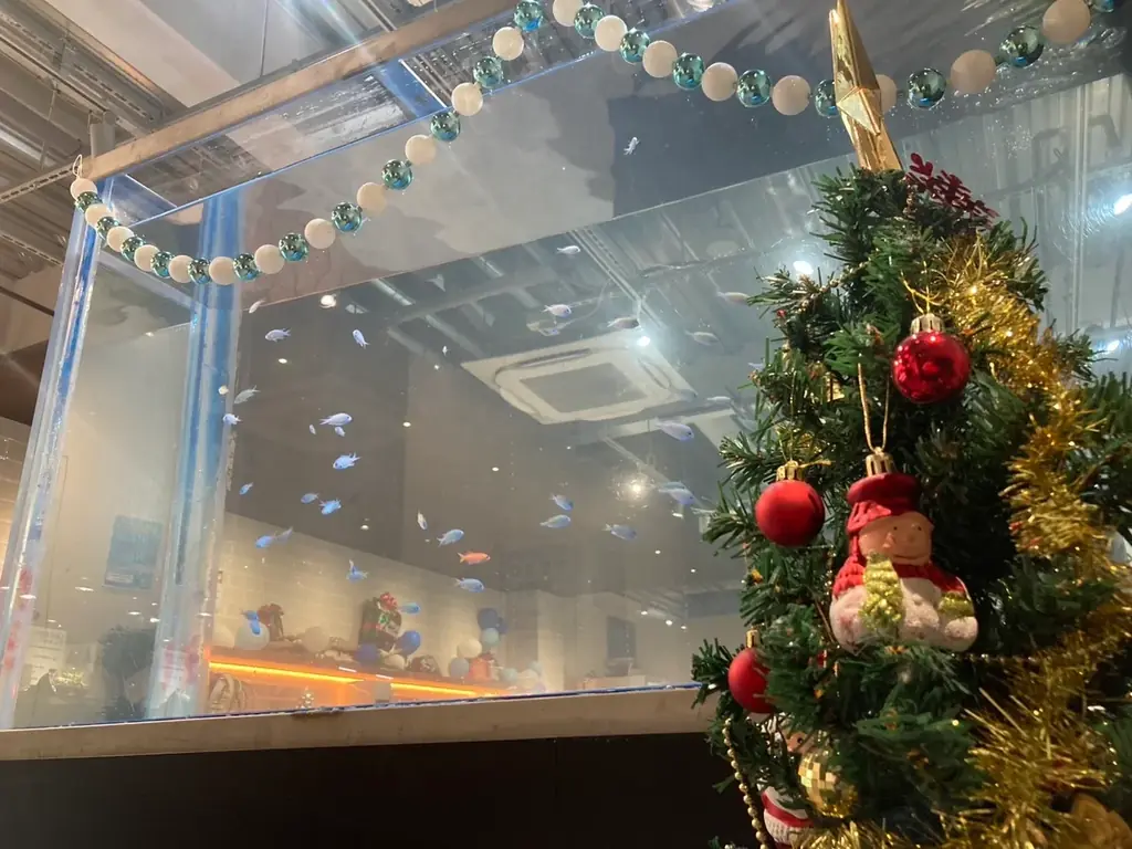 埼玉県唯一！常設展示している絶滅危惧種アオウミガメの赤ちゃんのえさやり体験＆ネーミング公募を開始。—さらに、魚が敗北!?アクアパーク川越『人気いきもの総選挙2025』結果発表！今年の1位は“あの子”！ 画像 4