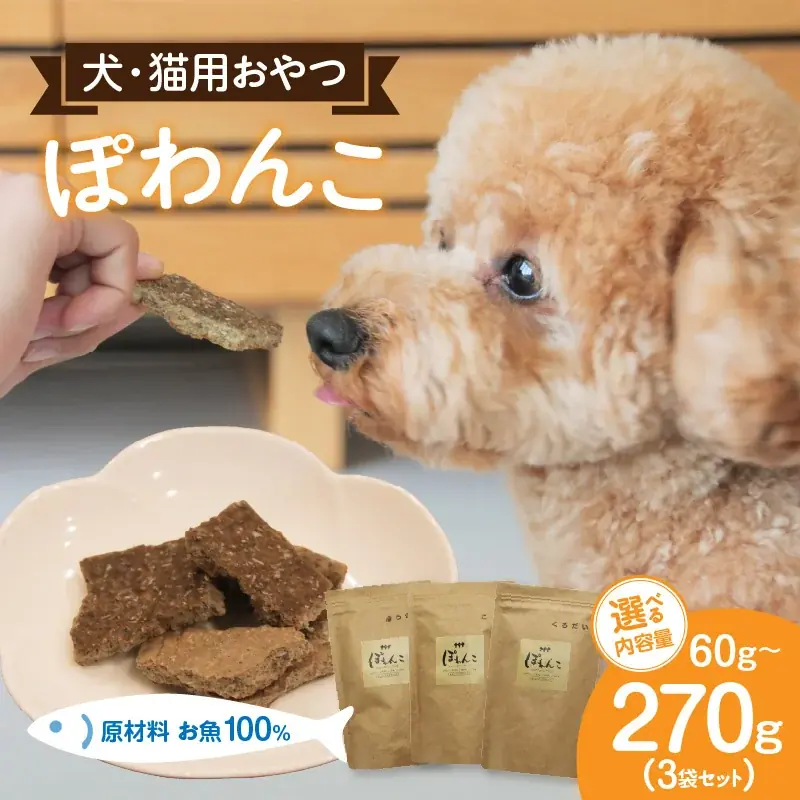 《１２月３１日まで》第３弾！物価高応援企画！ふるさと納税で生活者応援！【愛知県西尾市】 画像 10