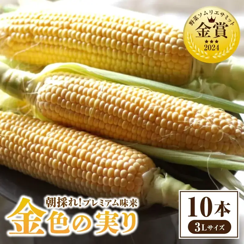 《１２月３１日まで》第３弾！物価高応援企画！ふるさと納税で生活者応援！【愛知県西尾市】 画像 7