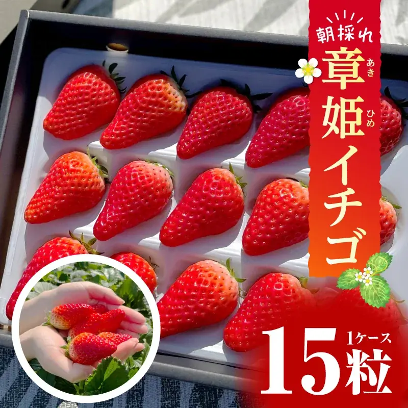 《１２月３１日まで》第３弾！物価高応援企画！ふるさと納税で生活者応援！【愛知県西尾市】 画像 9