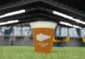 エスコンフィールドHOKKAIDO「tower eleven onsen & sauna」でWINTER SALE 2026開催！2026年2月28日(土)まで 画像 3