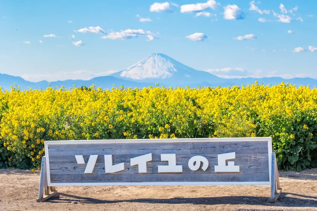 【横須賀・ソレイユの丘】冬限定の体験型クリスマスイベント『きらめく丘のぬくもりクリスマス』を開催！リース作りやトナカイに変身した動物たちとのふれあい、クリスマスフードも期間限定で登場。 画像 17