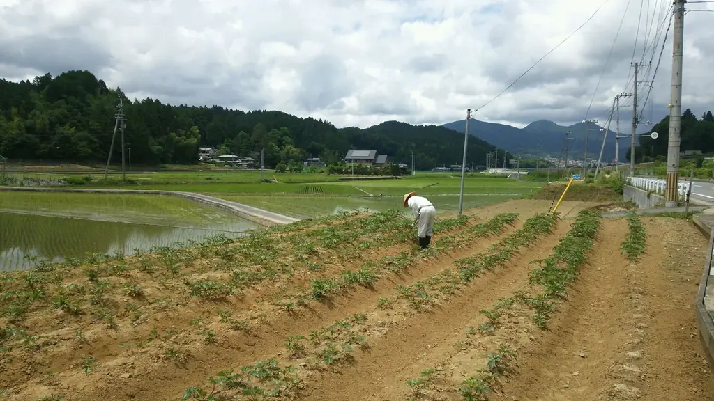薬草のまち・奈良県宇陀市で開催「宇陀特別共創サウナワークショップ」に頂マーラータンが“夜食のサ飯”として令和の新名物「大和当帰マーラータン」を協賛提供！カラダの内外からととのう新体験を！ 画像 4