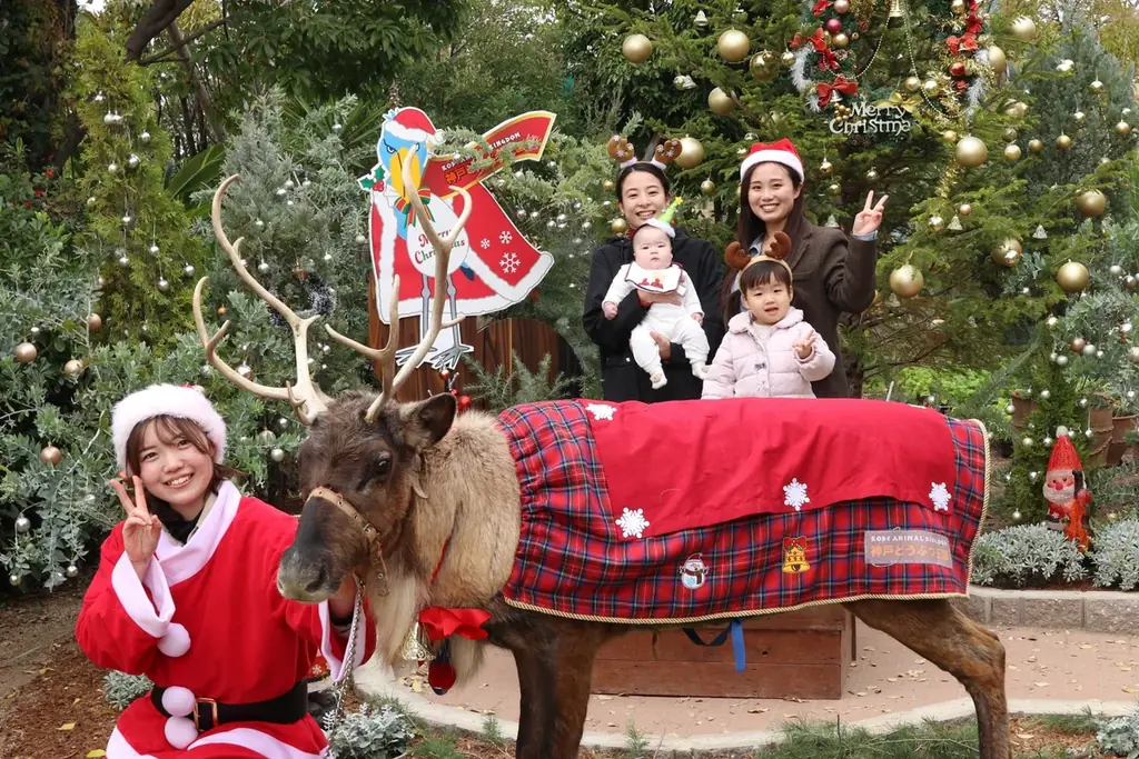 1日3室限定 トナカイと過ごす神戸のクリスマス宿泊プラン