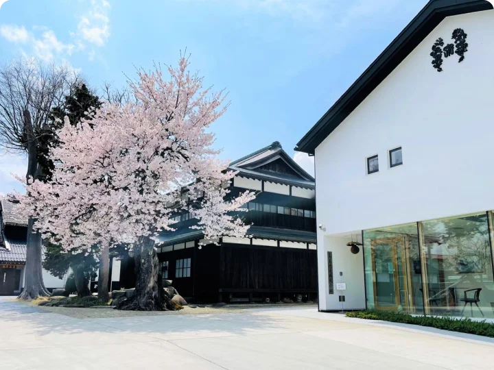 日本酒の”最新トレンド”がわかる、『 The Sakenomy Award 2025 』を発表！ 画像 8