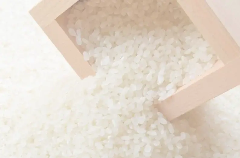 食品の商談展「JFEX」「“日本の食品”輸出EXPO」幕張メッセで盛況に開催中！今年注目の『お米』のグルメ ― 会場で最新トレンドを体感 画像 4