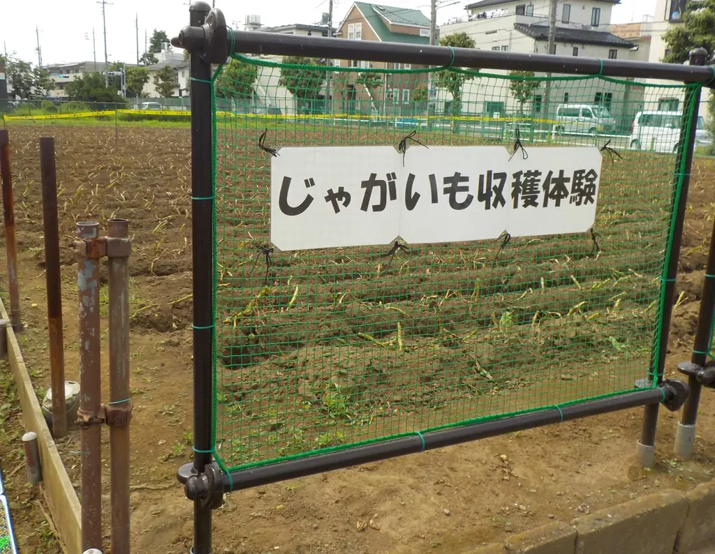 スマホと一緒に区内をぐるっと巡って抽選に応募♪「ぐるっと板橋LINEスタンプラリー」開催！ 画像 6