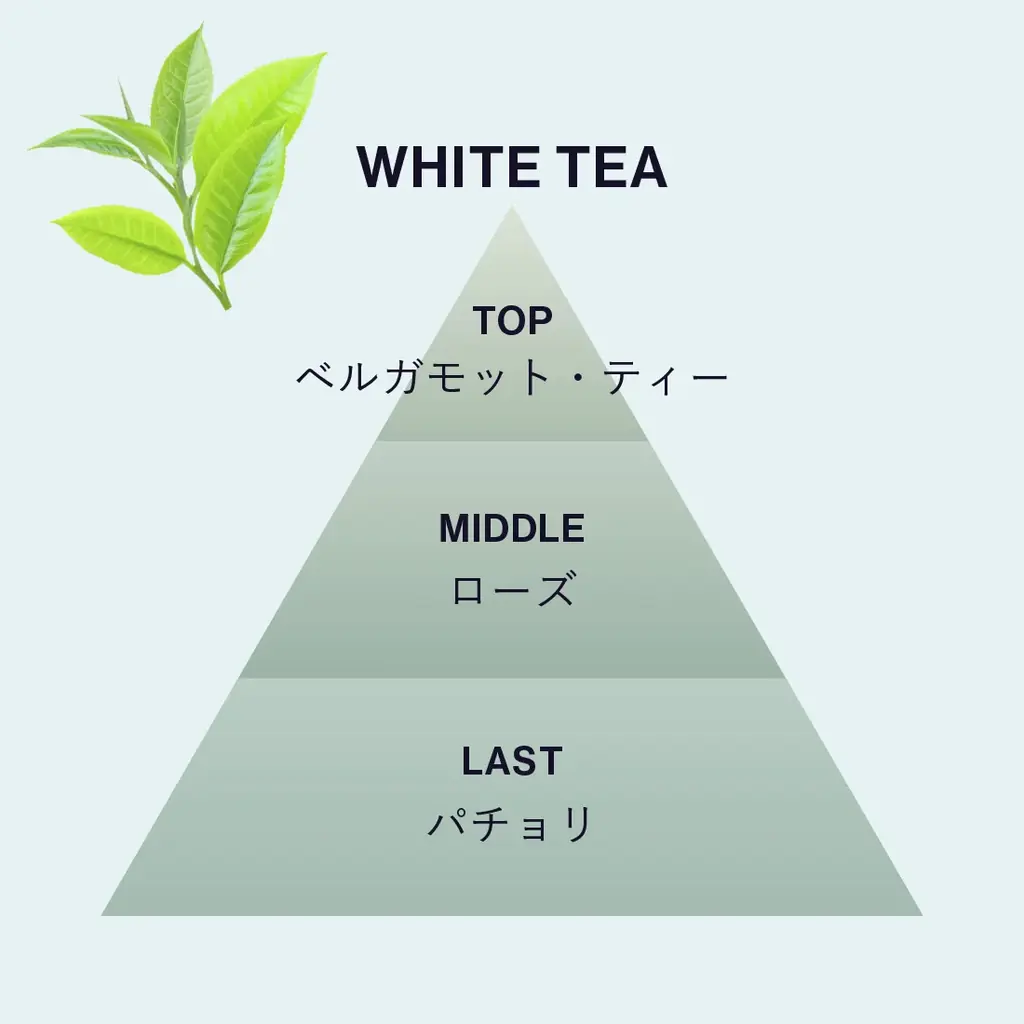 プレミアムナイトブランド「ReNELU（リネル）」が誕生 画像 3