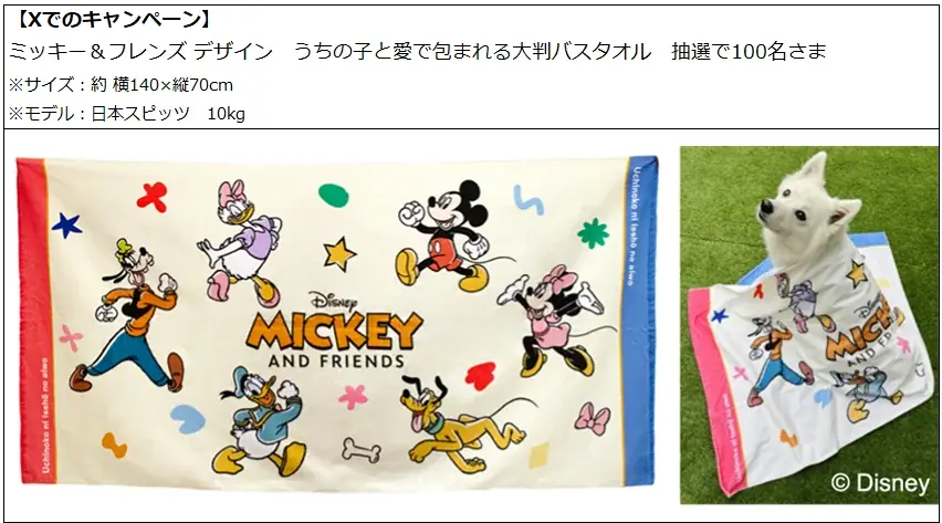 アンケートへのご回答だけ！ディズニーデザインのグッズが抽選で当たる感謝のキャンペーン第三弾 画像 3