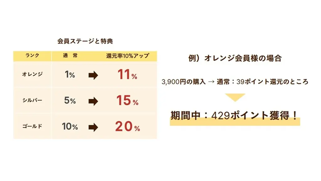 ピエトロオンラインストア限定開催「創業45周年記念感謝祭」12月5日スタート！ 画像 3