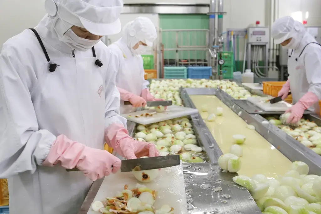 ピエトロオンラインストア限定開催「創業45周年記念感謝祭」12月5日スタート！ 画像 5