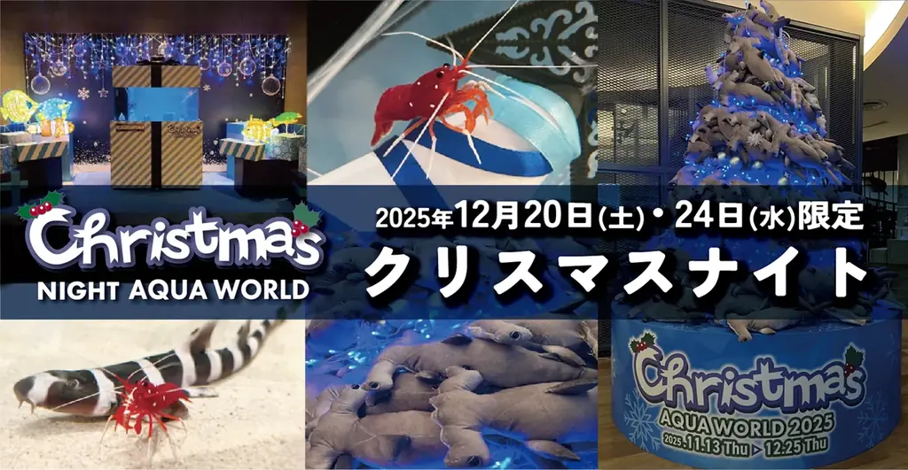 ２夜限定 アクアワールド・大洗で過ごす聖なる夜。NIGHT AQUAWORLD特別版 “クリスマスナイト”開催 画像 1