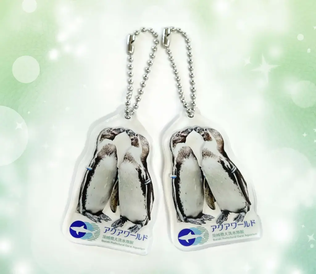 ２夜限定 アクアワールド・大洗で過ごす聖なる夜。NIGHT AQUAWORLD特別版 “クリスマスナイト”開催 画像 2