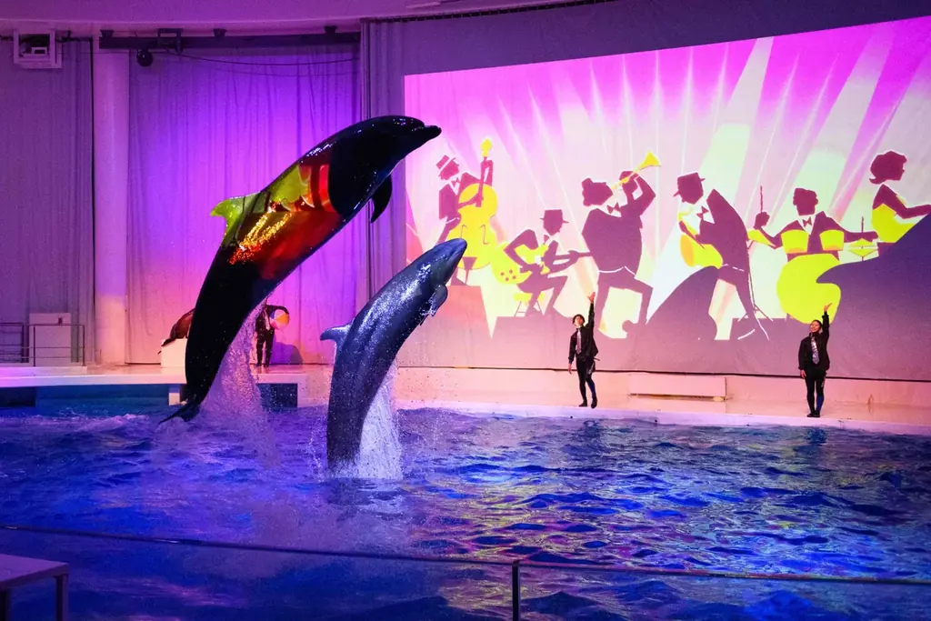 ２夜限定 アクアワールド・大洗で過ごす聖なる夜。NIGHT AQUAWORLD特別版 “クリスマスナイト”開催 画像 5