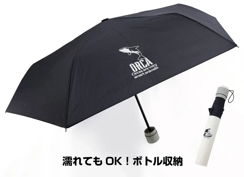 【鴨川シーワールド】『鴨川シーワールド 2026年福袋』12月11日販売開始 画像 4