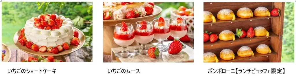 【インターナショナルガーデンホテル成田】「旬のいちごと生パスタを楽しむイタリアンビュッフェ」1月1日スタート 画像 7