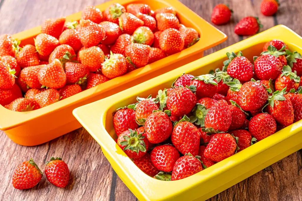 【インターナショナルガーデンホテル成田】「旬のいちごと生パスタを楽しむイタリアンビュッフェ」1月1日スタート 画像 8