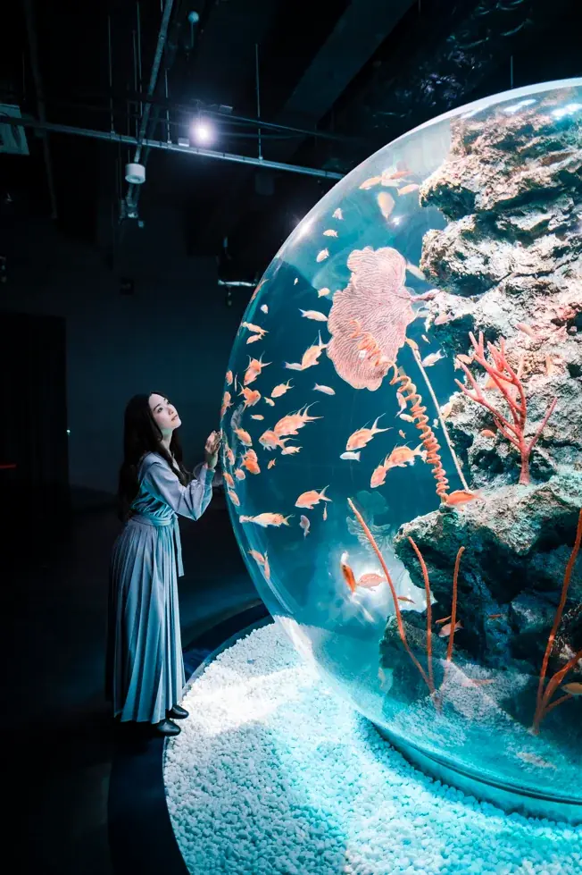 アトアの国内最大級の球体水槽“AQUA TERRA”がオリジナルスノードームに！【神戸の港の劇場型アクアリウム】 画像 5