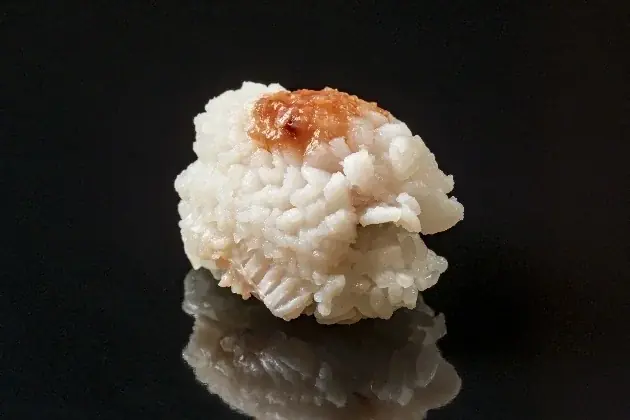 【一般開放】“富士山・海・温泉”を独り占めするハイエンド別荘を1泊から所有権型シェア別荘「Residence Villa」、12月5日より一般宿泊スタート 画像 16