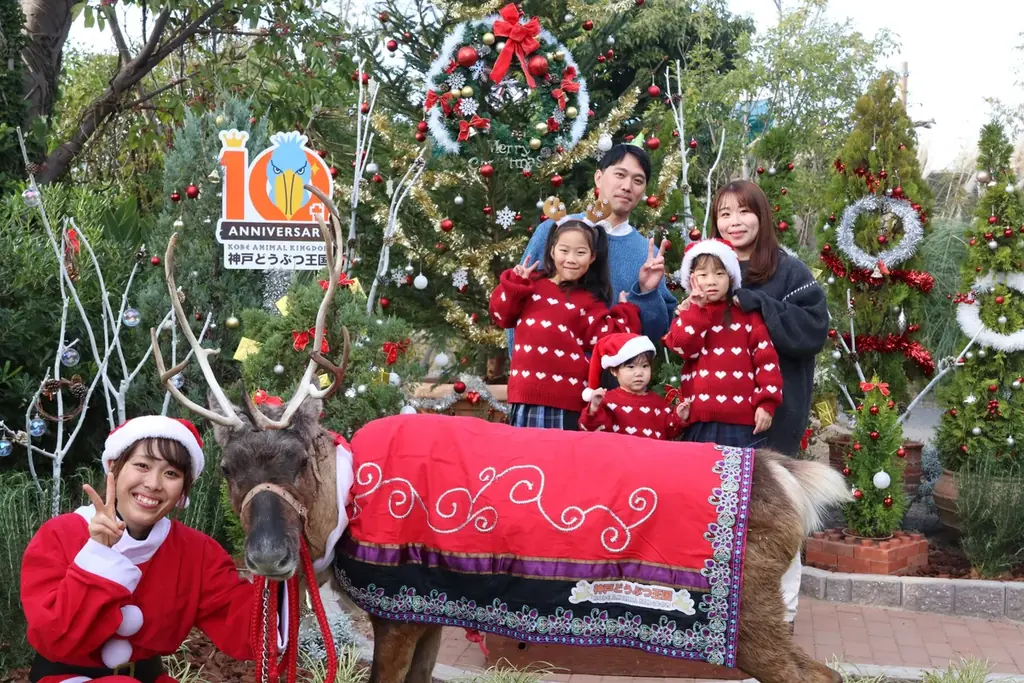 西日本でここだけ！今年も神戸どうぶつ王国にトナカイがやってきた！ 画像 3