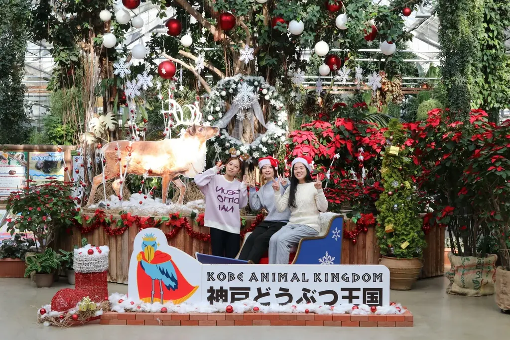 西日本でここだけ！今年も神戸どうぶつ王国にトナカイがやってきた！ 画像 5