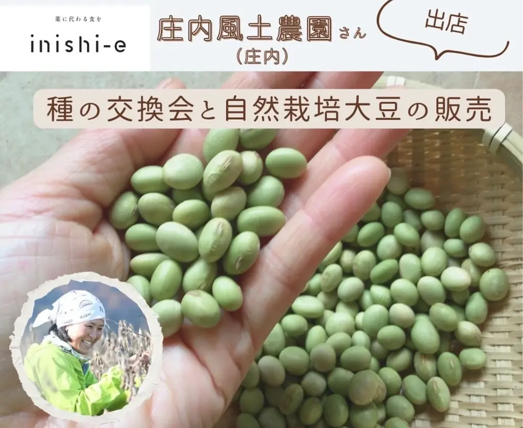 ＼いよいよ12月7日開催！／「いにしえマルシェ」山形・天童 画像 12