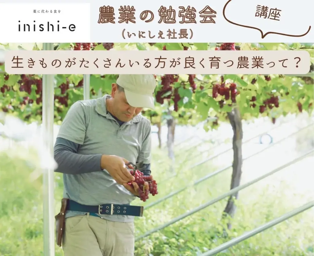 ＼いよいよ12月7日開催！／「いにしえマルシェ」山形・天童 画像 13