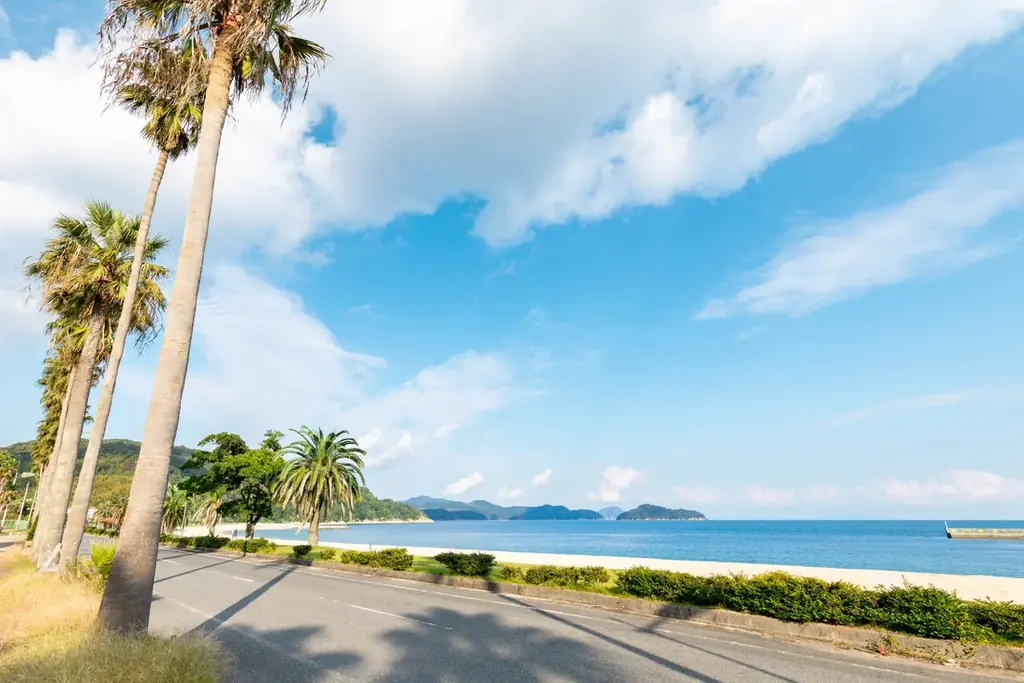 瀬戸内のハワイを旅気分で走る「周防大島ウルトラマラニック」2026年4月26日（日）開催！ 画像 3