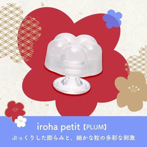 【2026福袋】【ヴィレッジヴァンガードEC限定】iroha福袋 画像 3