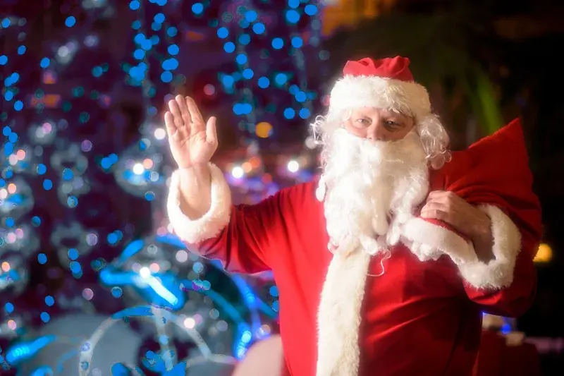 沖縄・恩納村【サンタと一緒に☆記念撮影】高さ13ｍのバブルツリー、イルカのイルミネーション、夢のキャンディハウス etc. 画像 10