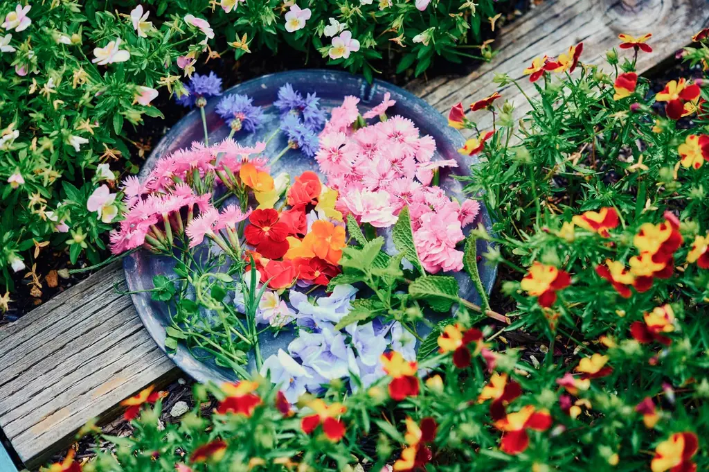 クリスマスマーケットで賑わう「神⼾布引ハーブ園」のレストランやカフェラウンジで「心も体も温まるフェア」を開催中！スイーツを中心とした期間限定メニューが登場。”ほっこり、ゆったり”楽しいひと時を・・・。 画像 22