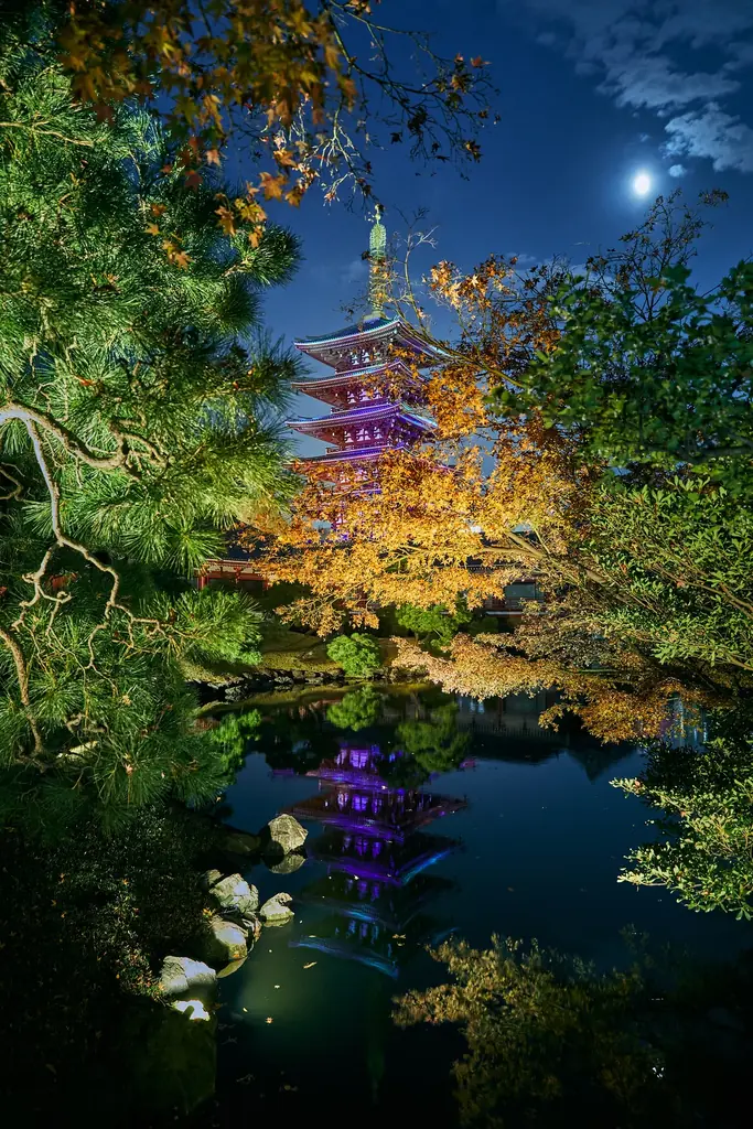 一旗プロデュース「ASAKUSA CULTURE & LIGHTS 2025」の公式記録写真を公開。浅草寺史上初、宝蔵門・五重塔・二天門プロジェクションマッピング。名勝 伝法院庭園と絵馬堂の鑑賞機会。 画像 21