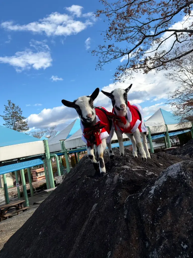 「まきばくんからのプレゼント！冬のごほうびガチャ」開催決定！ 画像 3