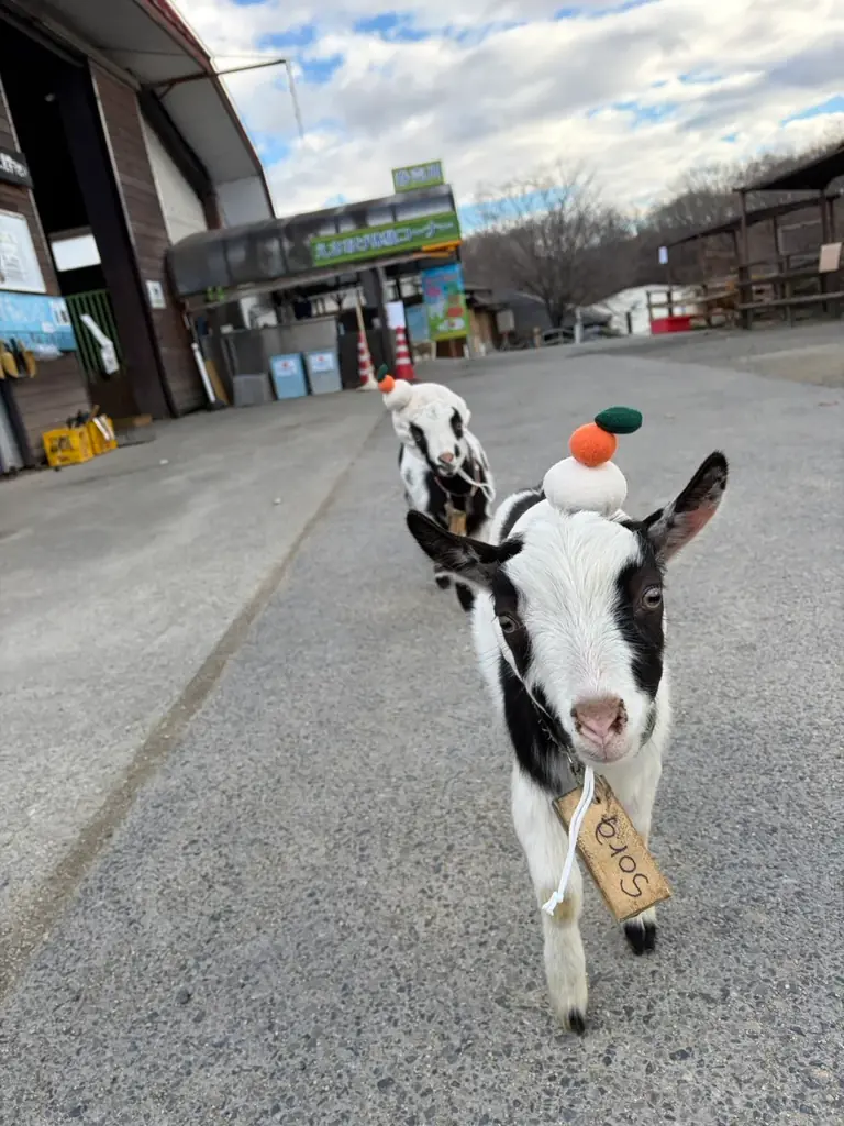 「まきばくんからのプレゼント！冬のごほうびガチャ」開催決定！ 画像 4